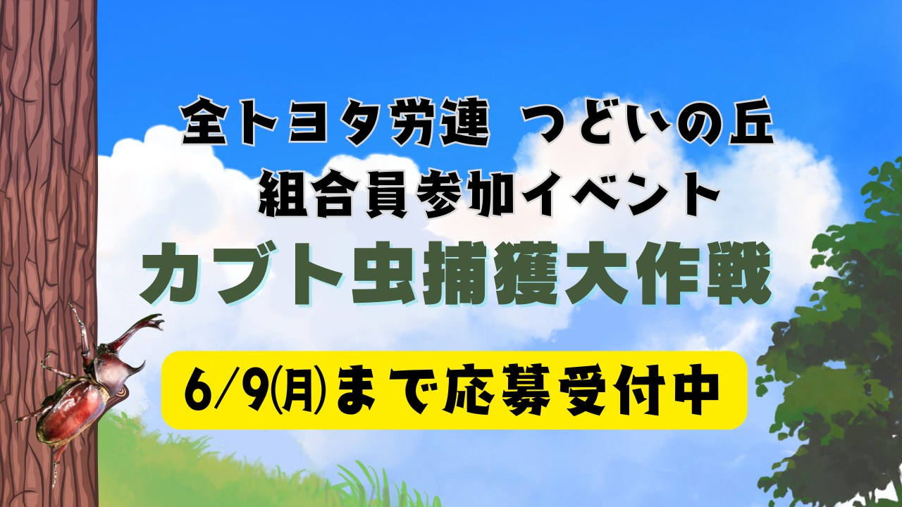 画像：新着情報